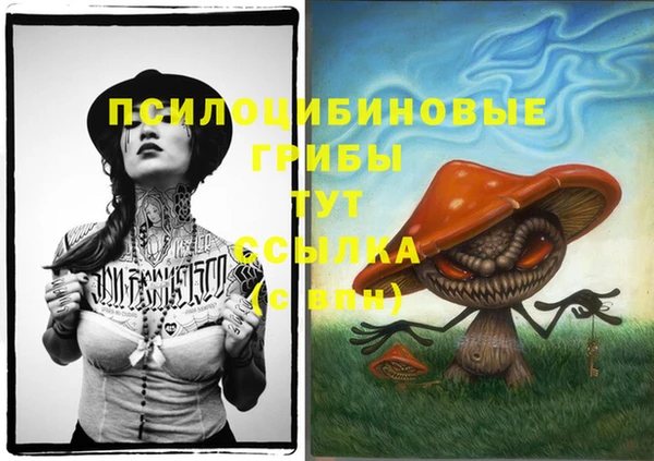 ПСИЛОЦИБИНОВЫЕ ГРИБЫ Беломорск