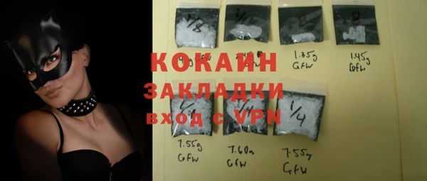 бошки Белокуриха