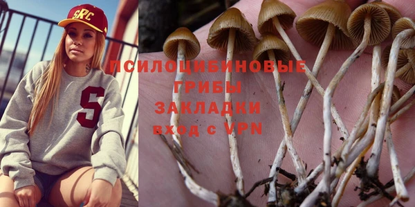 бошки Белокуриха